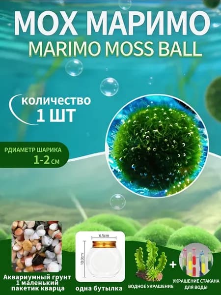 водоросли для аквариума маримо