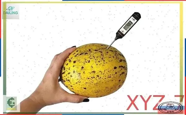 Термометр контактный штыревой / Электронный измеритель температуры от -50 до +300 С/ Термометр для всех типов продуктов