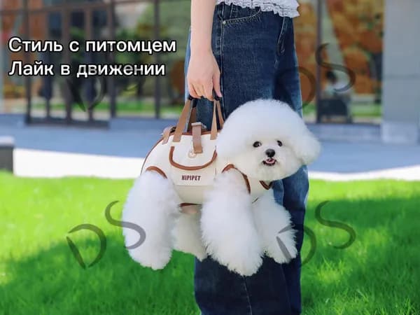 Переноска для собак мелких пород, стильная дышащая, 3 в 1 (ручка, ремень, поводок)-DS