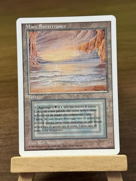 Заголовок: Волшебство в твоих руках: Уникальная карта Magic: The Gathering (MTG) с защитным протектором в подарок!