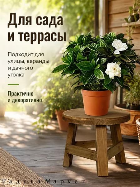 Скамья