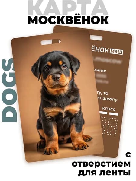 Карта Москвёнок DOGS №13