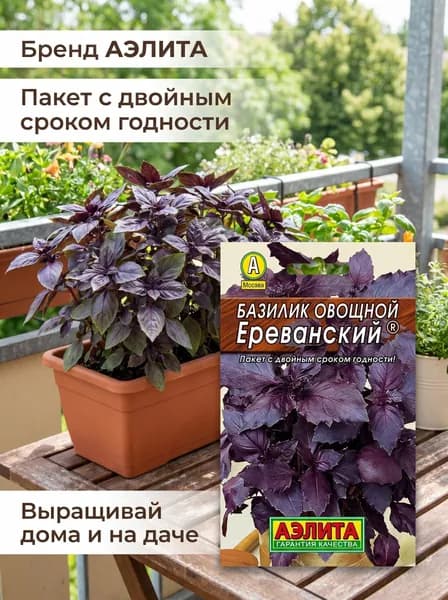 Семена Базилик овощной Ереванский, 1 шт.