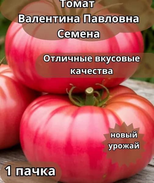 Коллекционные семена томата Валентина Павловна