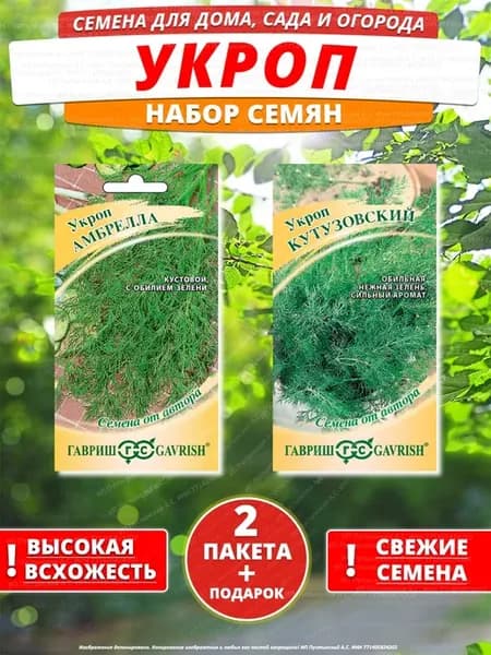 Семена укроп для дома сада посадки