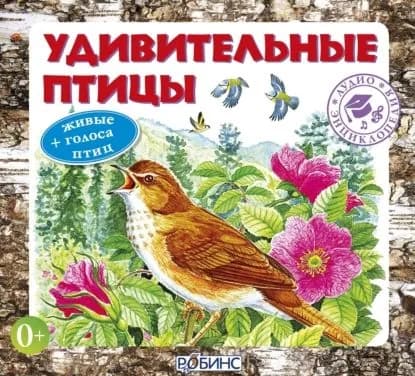 Удивительные птицы | Тихонов Александр Александрович | Электронная аудиокнига
