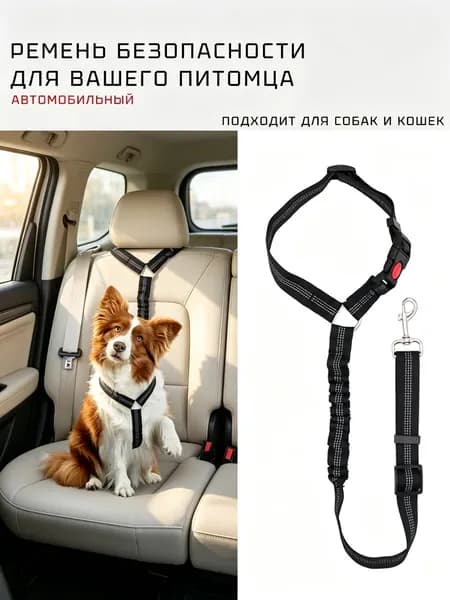 Ремень безопасности для животных