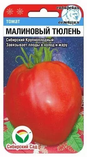 Томат Малиновый тюлень от агрофирмы Сибирский сад
