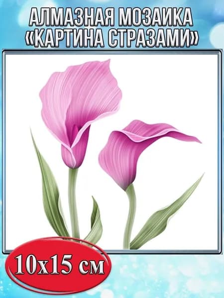 Алмазная мозаика со стразами Цветы каллы/Выкладка частичная/Размер холста 15х20 см/Размер картинки 10х15