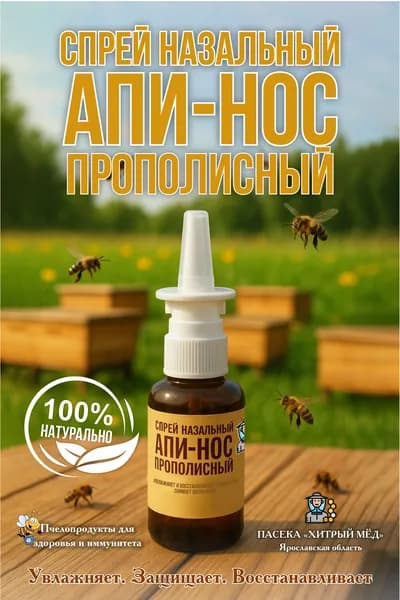 Спрей назальный Прополисный АПИ-НОС 30 мл