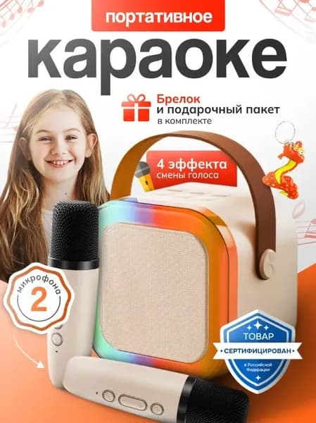 Колонка караоке с микрофонами подарок