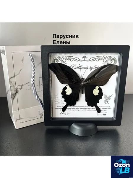 Эксклюзивная бабочка в рамке