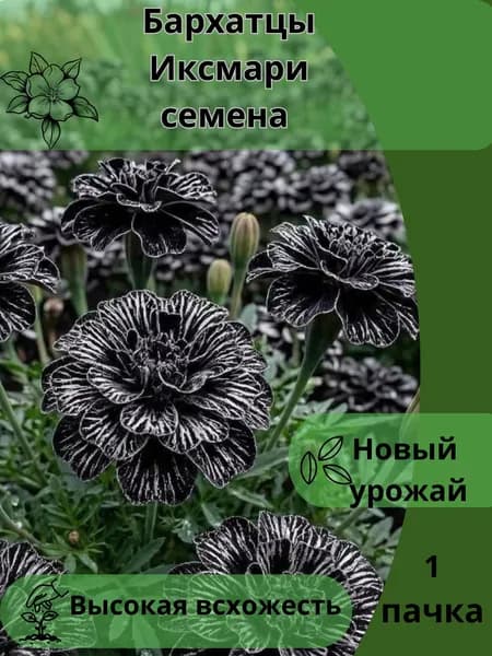 Бархатцы Иксмари, семена 10шт