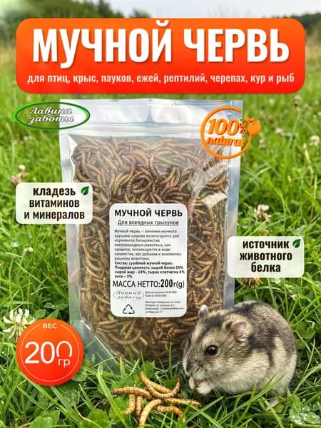 Мучной червь - лакомство - вкусняшки для животных 200 грамм