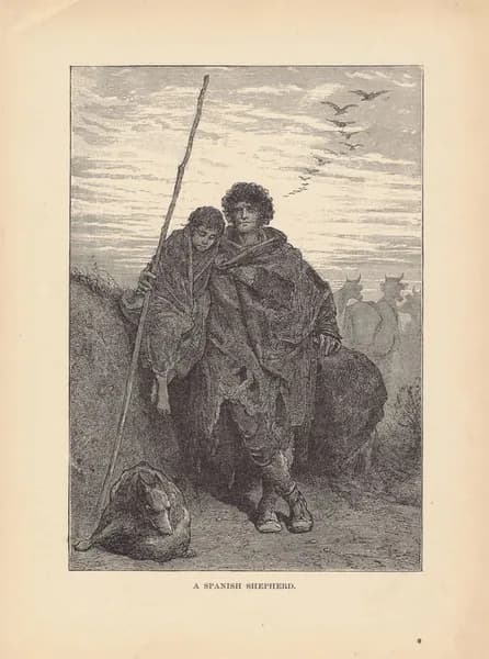 Испанские пастухи. Антикварная гравюра (ксилография). США, 1892 г.
