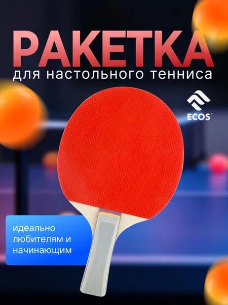 Ракетка для игры в пинг-понг PPR-02