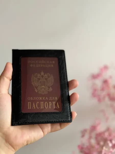 Aurora Moonligh Dream Обложка для паспорта