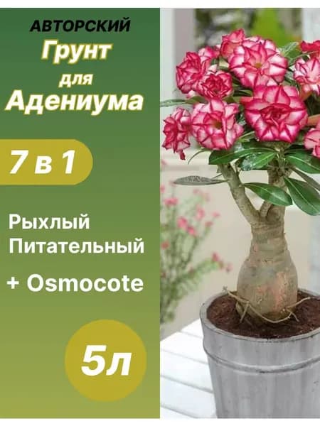 Грунт для Адениума 5 л готовый