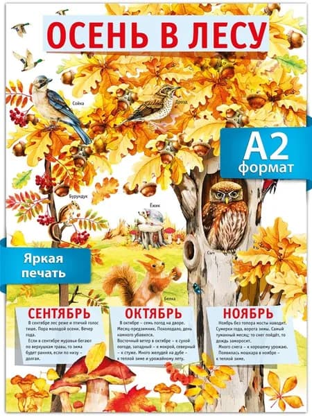 Плакат Осень в лесу, а2