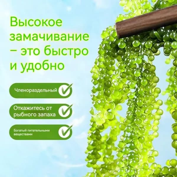 Морской виноград, зеленая икра 100r.