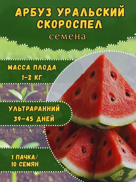 Семена Арбуза "Уральский Скороспел", 10 семян