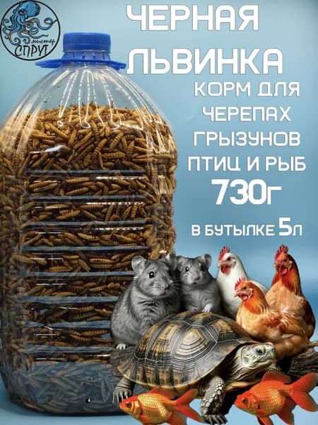 Черная львинка сушеная 5 литров (730г)
