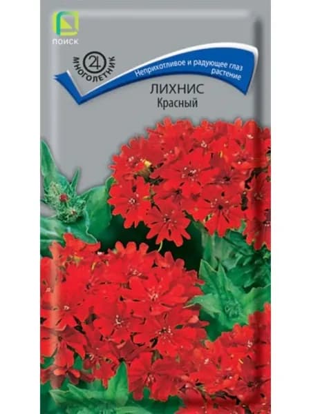 Семена Лихнис Красный Поиск