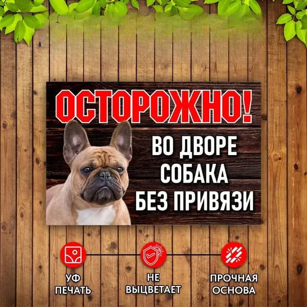 Табличка Осторожно Во дворе собака без привязи Французский Бульдог
