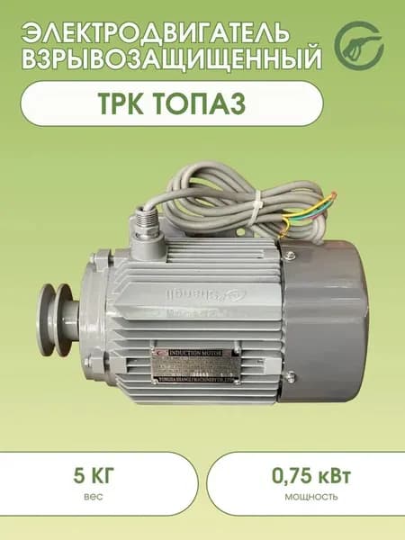 Электродвигатель взрывозащищенный для ТРК Топаз (YBJY-80M2-4 0,75 кВТ)