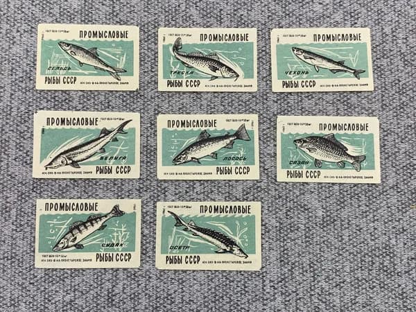 Набор из 8 коллекционных спичечных этикеток СССР - промысловые рыбы СССР
