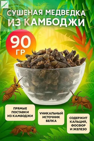 Медведка азиатская - 90 грамм