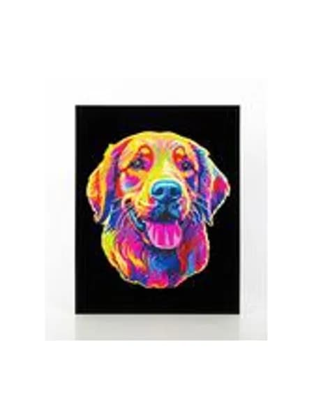 Diamond Painting Набор для рисования алмазной мозаикой "Золотистый ретривер"