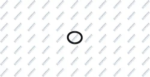 Кольцо уплотн. тормозного вала, 20x3mm Iveco, MAN, DAF, RVI, MB