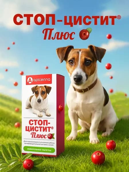 Стоп-цистит Плюс для собак