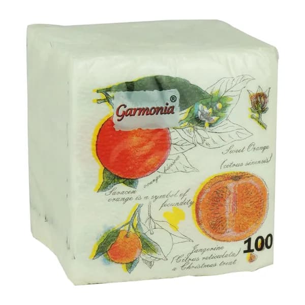Салфетки бумажные Апельсин , 24*24 см, 100 шт.
