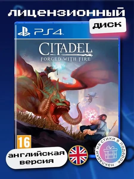 Citadel: Forget With Fire PS4, английская версия