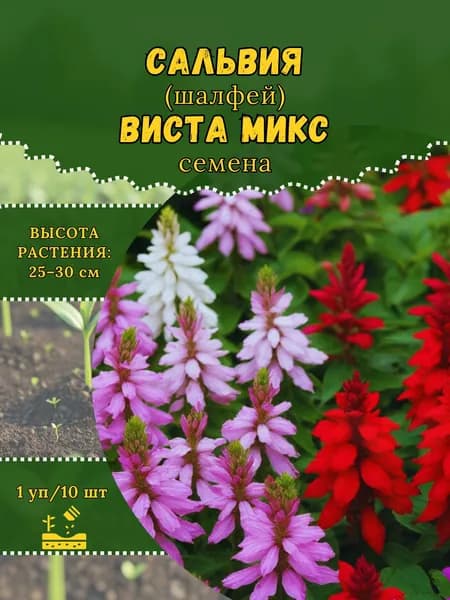 Сальвия (шалфей) "Виста Микс" семена, 1 пачка