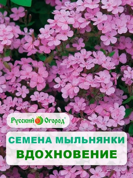 Семена Мыльнянка "Вдохновение" 0,1 г, цветы для дачи, сада и огорода, на рассаду, в открытый грунт