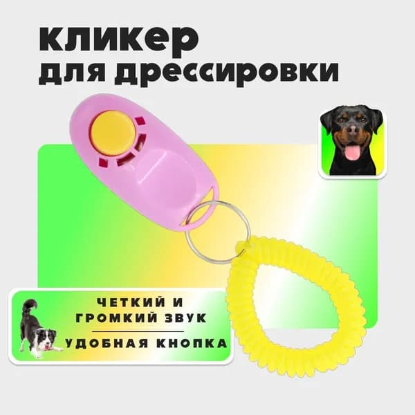 Кликер