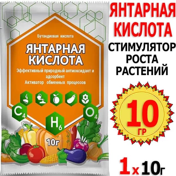Янтарная кислота 10г Биотехнологии