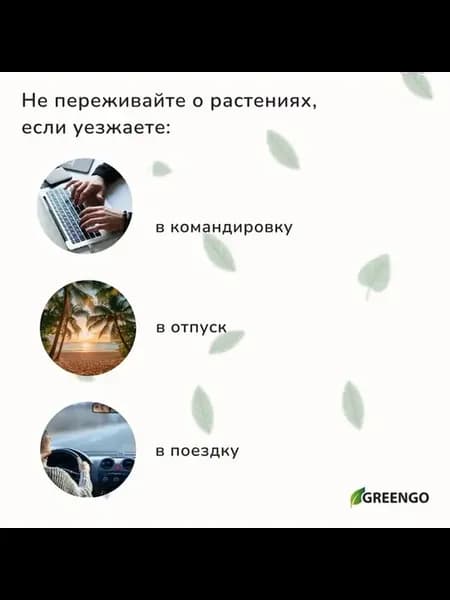 Автополив для комнатных растений — набор 2 шт