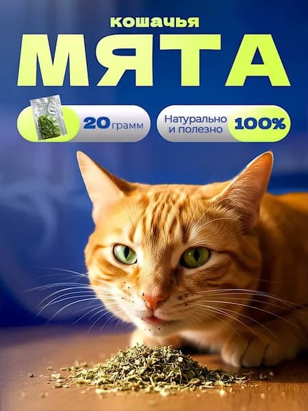 Кошачья мята 20гр