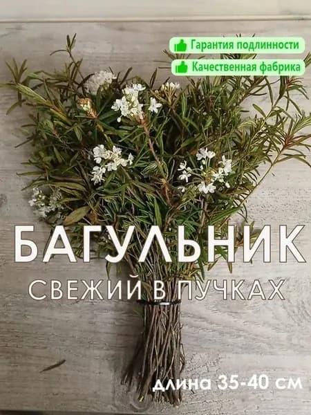 Веник для бани Из багульника, 1 шт.
