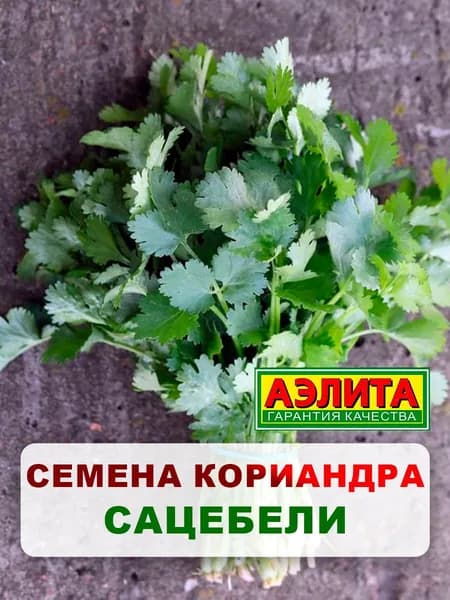 Семена кориандр "Сацебели", 2 г, для дома, дачи и огорода, кориандр из семян, в открытый грунт