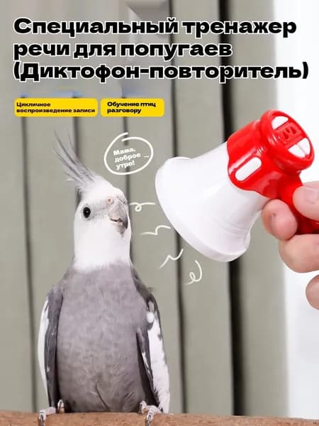 Говорящий тренажер для попугаев: диктофон с повторением