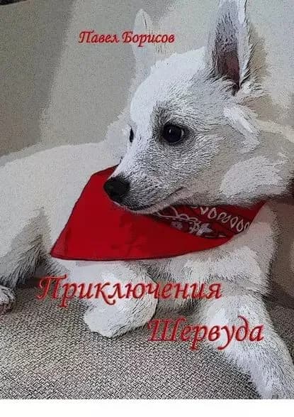 Приключения Шервуда | Борисов Павел | Электронная книга