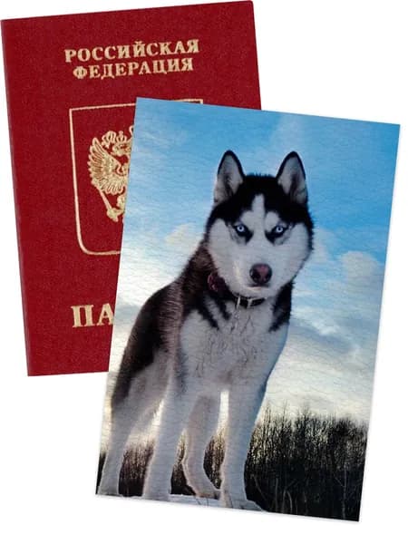 Обложка на паспорт хаски