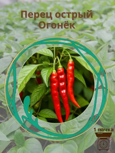Перец острый "Огонёк" 10 шт семян