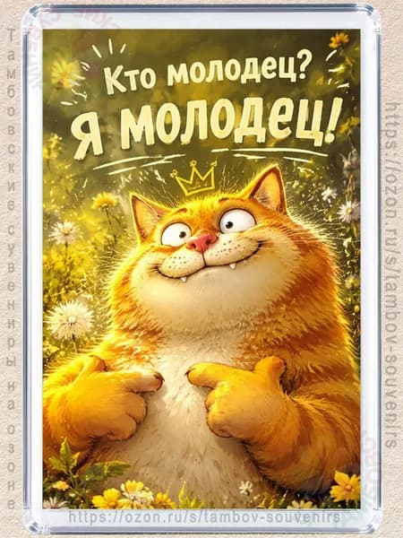 Магнит на холодильник "Кто молодец, я молодец"