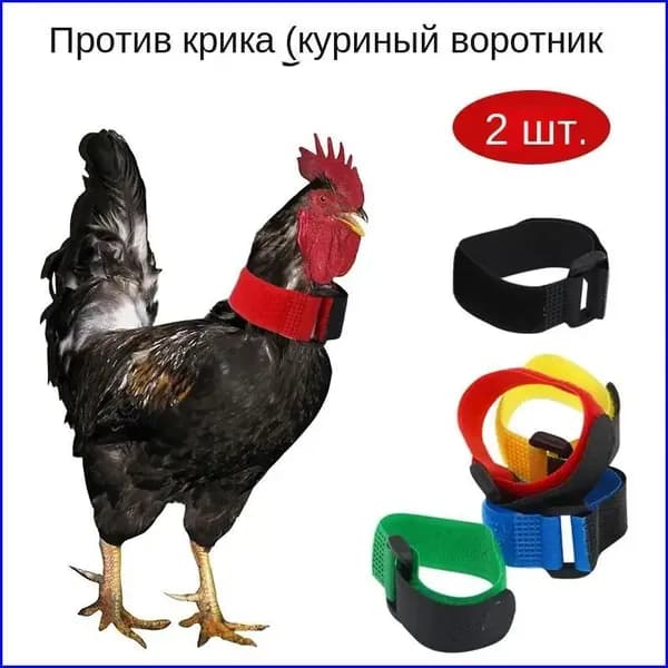 Популярный ошейник от кукарекания, 2 штуки 4